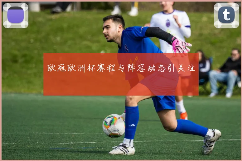 欧冠欧洲杯赛程与阵容动态引关注